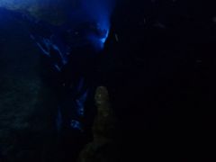 In the Cave